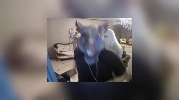 mksports体育下头？AJ看十月主持立马暴力发言：她腿好白啊！小龙堡都捂着嘴流口水🥵